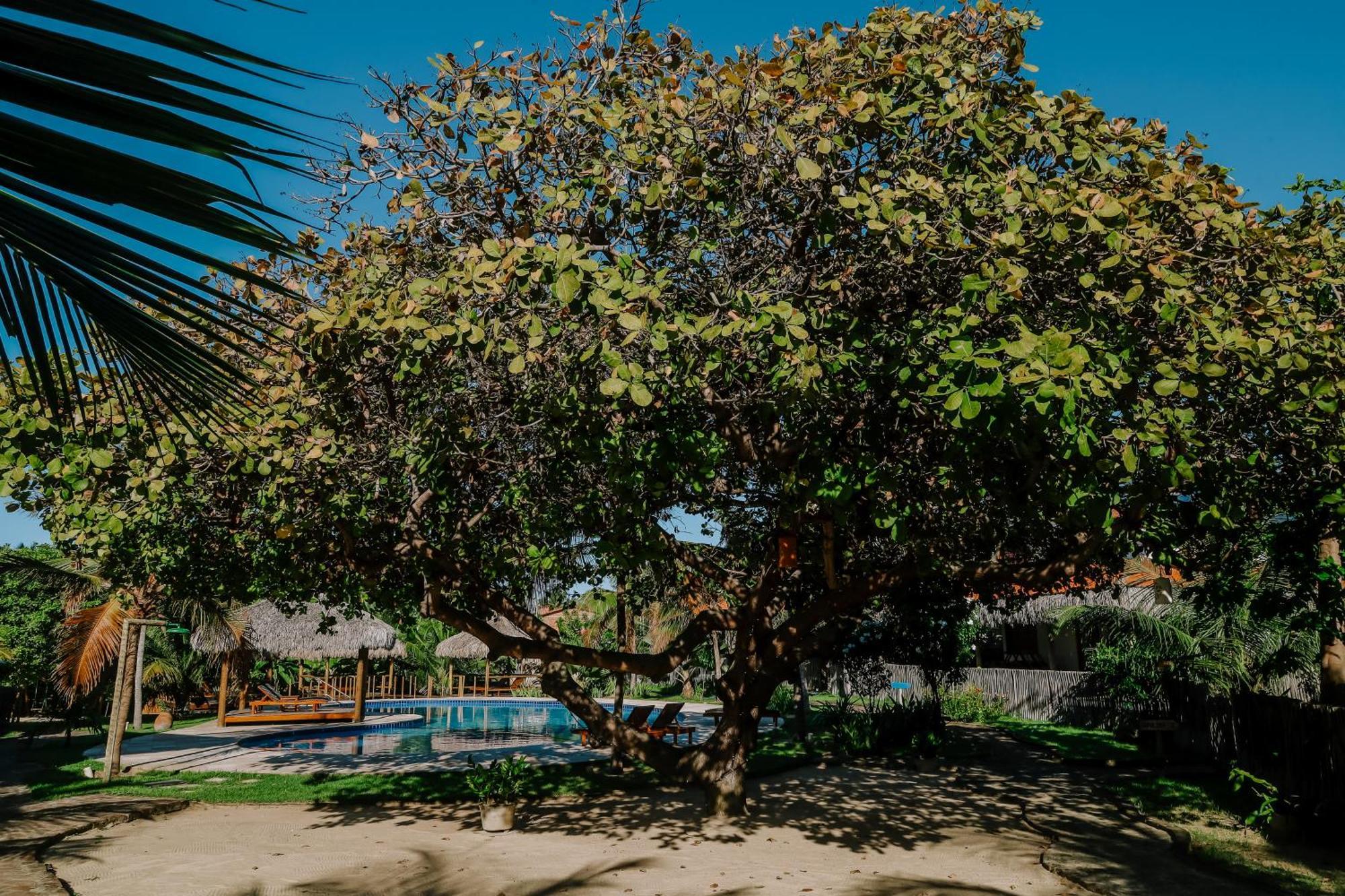 Villa Casas Capulana Icaraí Exterior foto
